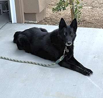 Photo of Vader