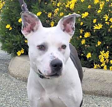 Photo of KIARA