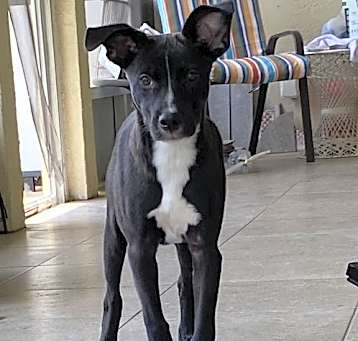 Photo of Tuck