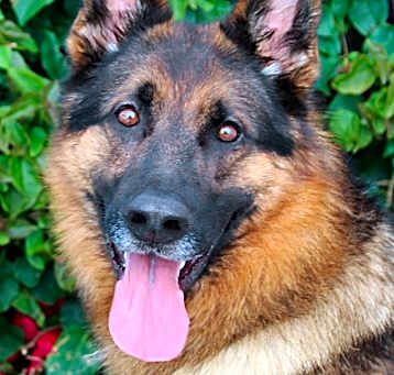 Photo of Theo von Tengen