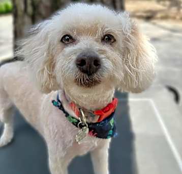 Photo of Wendy