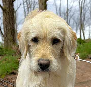 Photo of Doobie