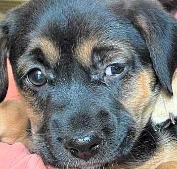 Photo of NY Eva Avail March29