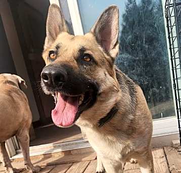 Photo of Mila