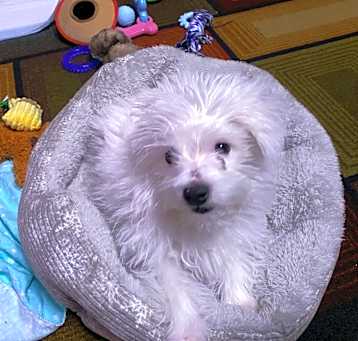 Photo of Frosty