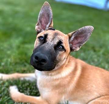 Photo of June Bee