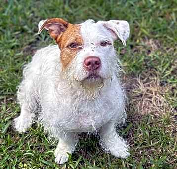 Photo of Maverick