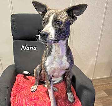 Photo of Nana