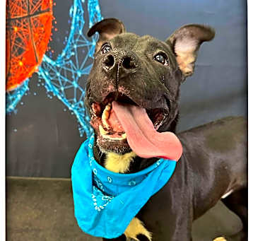 Photo of Zoom