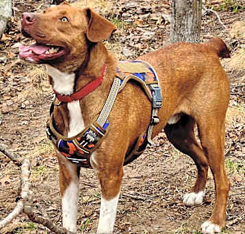 Photo of Barlo