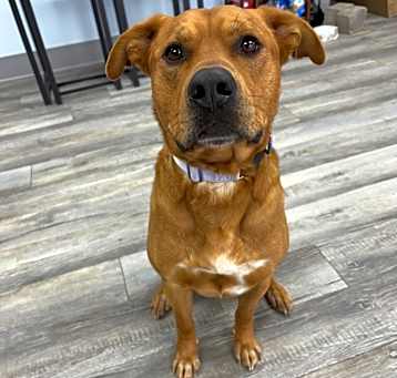 Photo of Gus