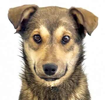 Photo of Winnie