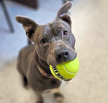 Photo of Diamond