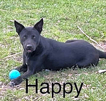 Photo of Happy