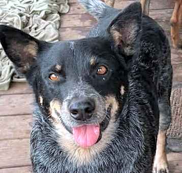 Photo of Cash