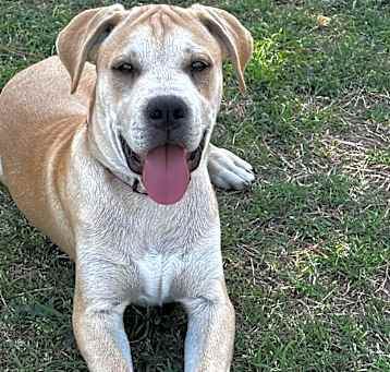 Photo of Breaker