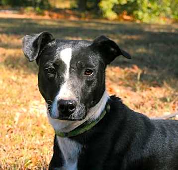 Photo of Maverick