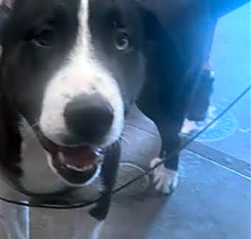 Photo of MAX
