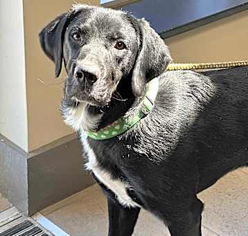 Photo of Tug