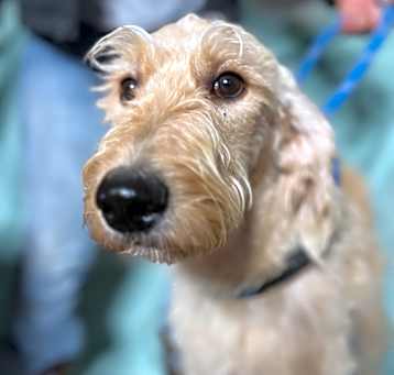 Photo of Sandy