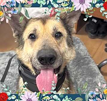 Photo of MAX