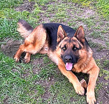 Photo of Max