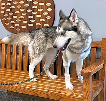 Photo of Dakota