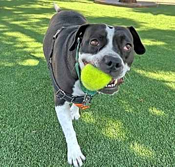 Photo of Harlee