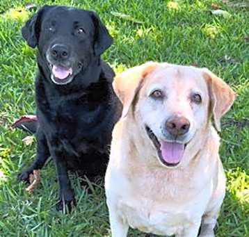 Photo of Clara & Sasha Maria