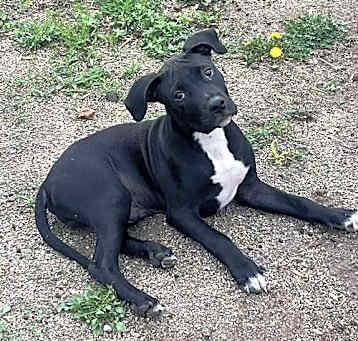 Photo of Jasper