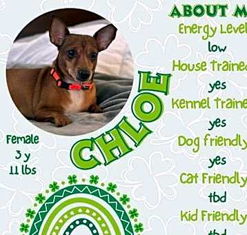 Photo of Chloe