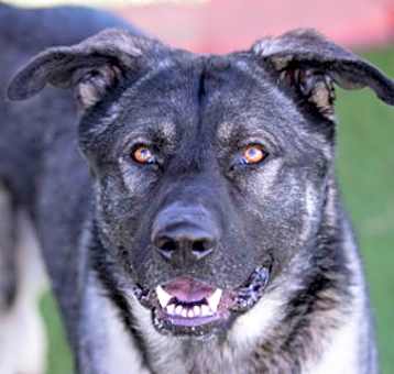 Photo of Trucker