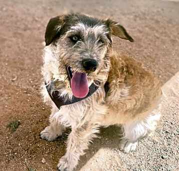 Photo of Tobias