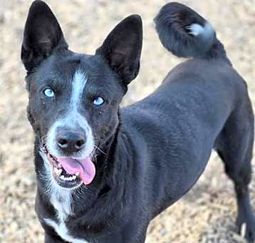 Photo of ONYX