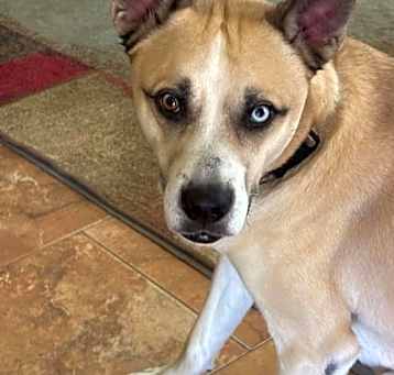 Photo of Kenai