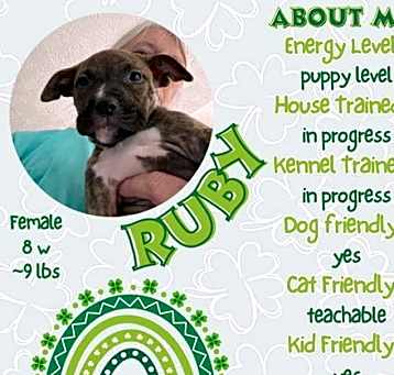 Photo of Ruby