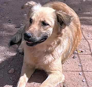 Photo of Winnie