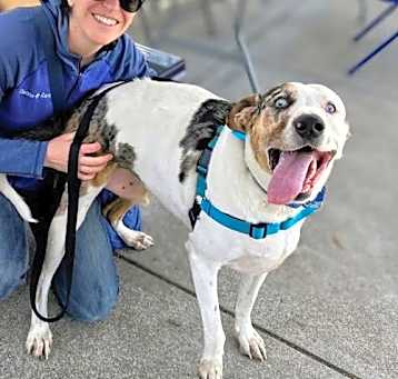 Photo of Tugboat