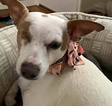 Photo of Cleo