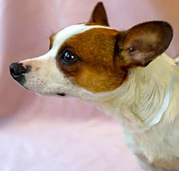 Photo of Tank