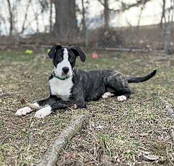 Photo of Palmer