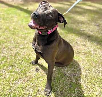 Photo of Molly
