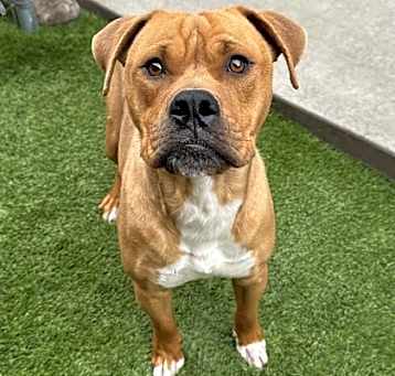 Photo of Bentley