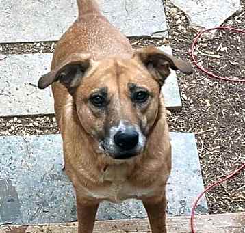 Photo of Chloe