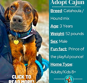 Photo of Cajun