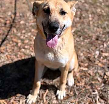 Photo of Skye