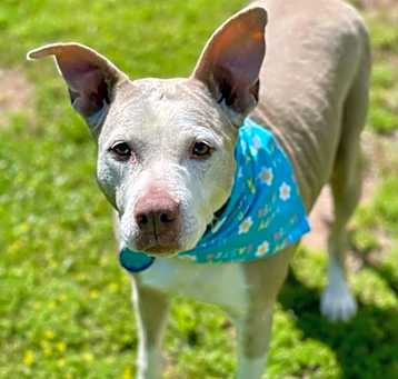 Photo of Doris aka Dora