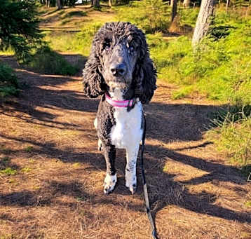 Photo of Phaidra