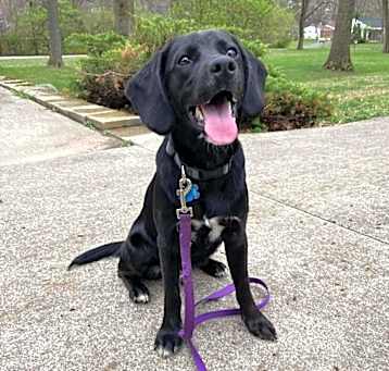 Photo of Knox