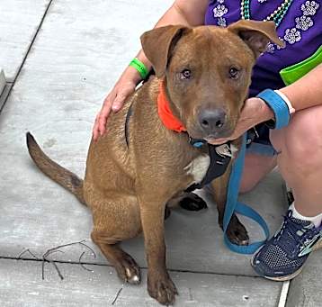 Photo of Maverick